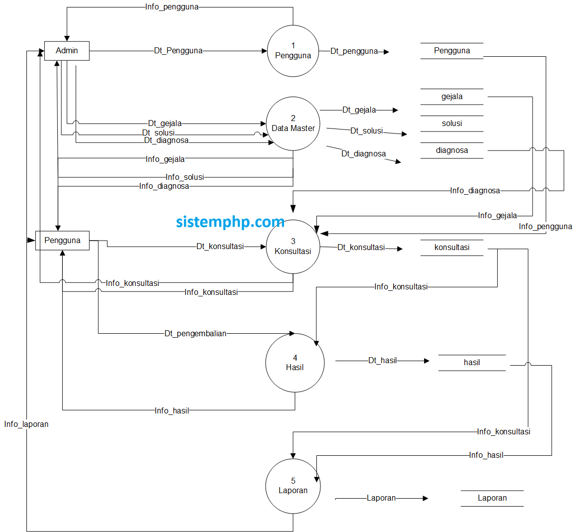 DFD level 1 Sistem pakar